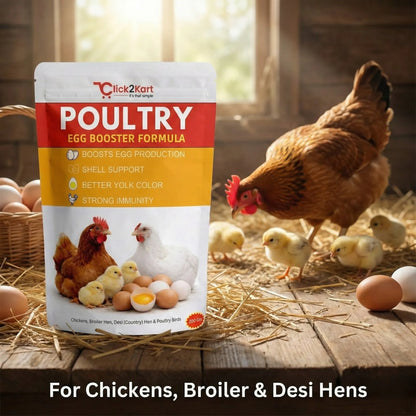 Poultry Egg Booster Formula