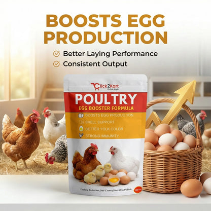 Poultry Egg Booster Formula