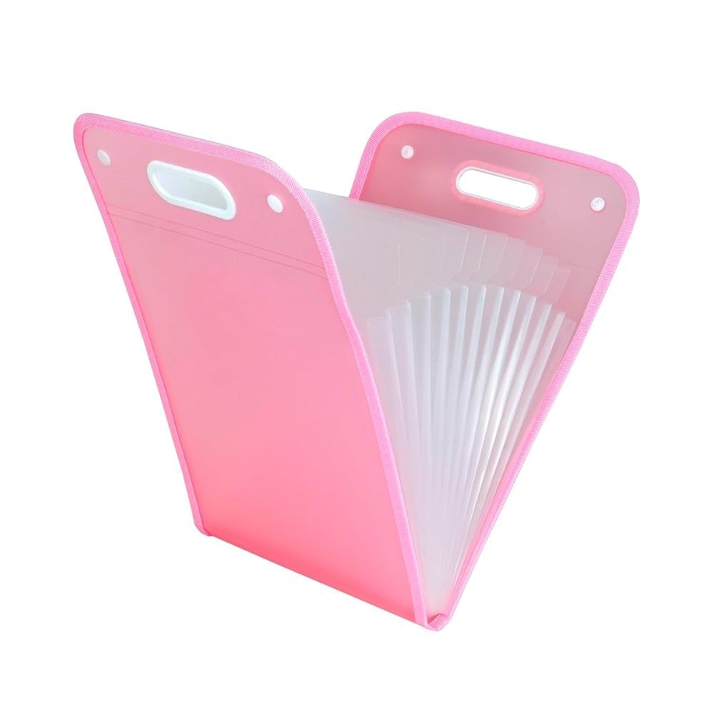 A4 Expanding 13 Pocket File Organizer