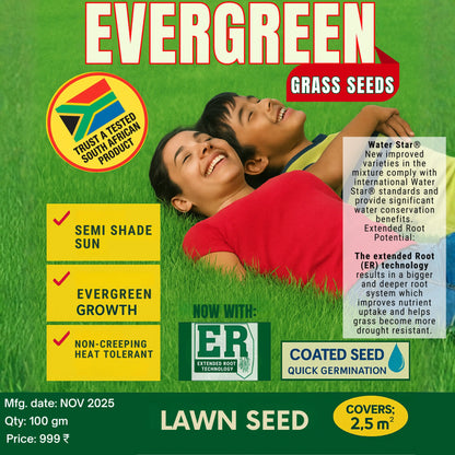 All Seasons Evergreen Grass Seeds