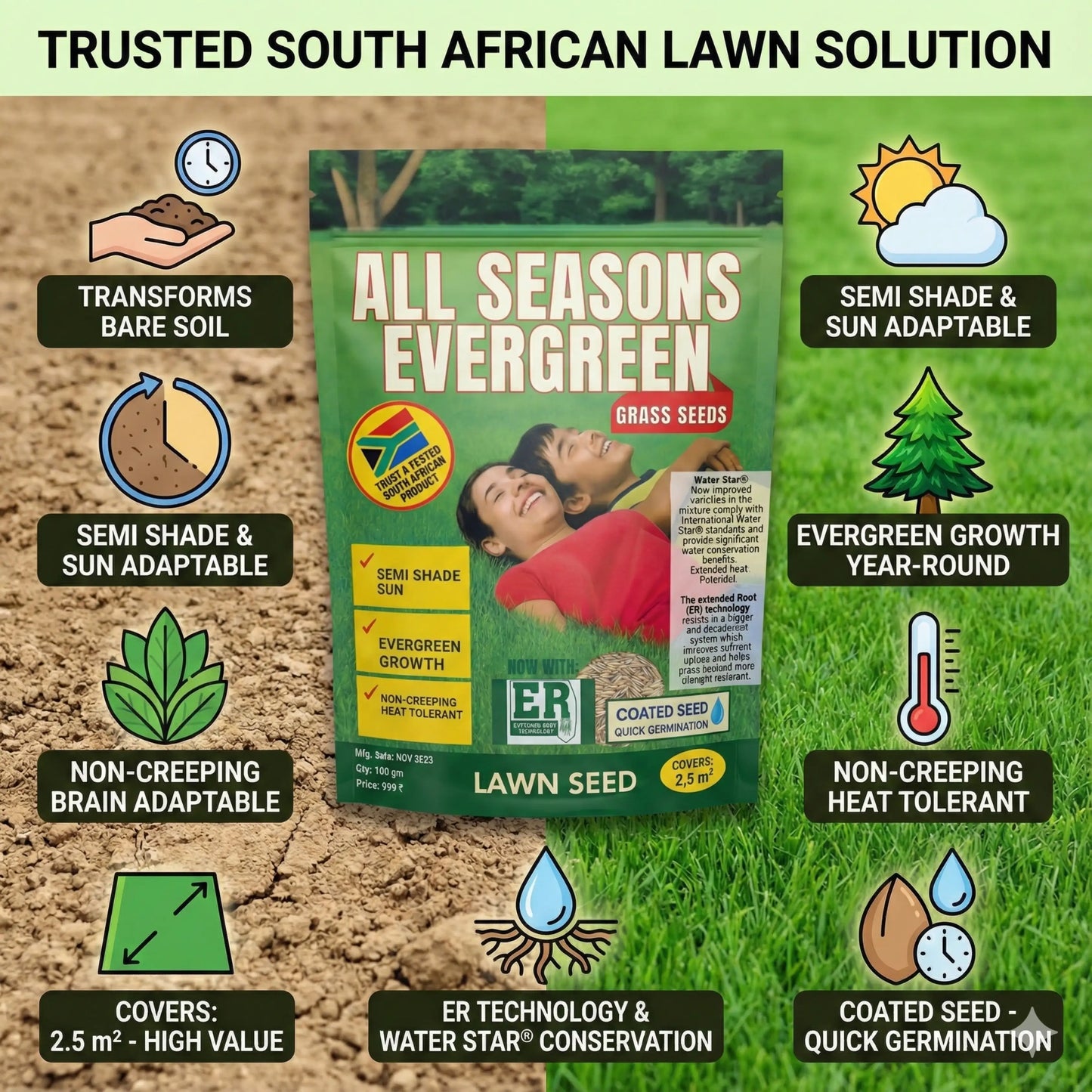 All Seasons Evergreen Grass Seeds