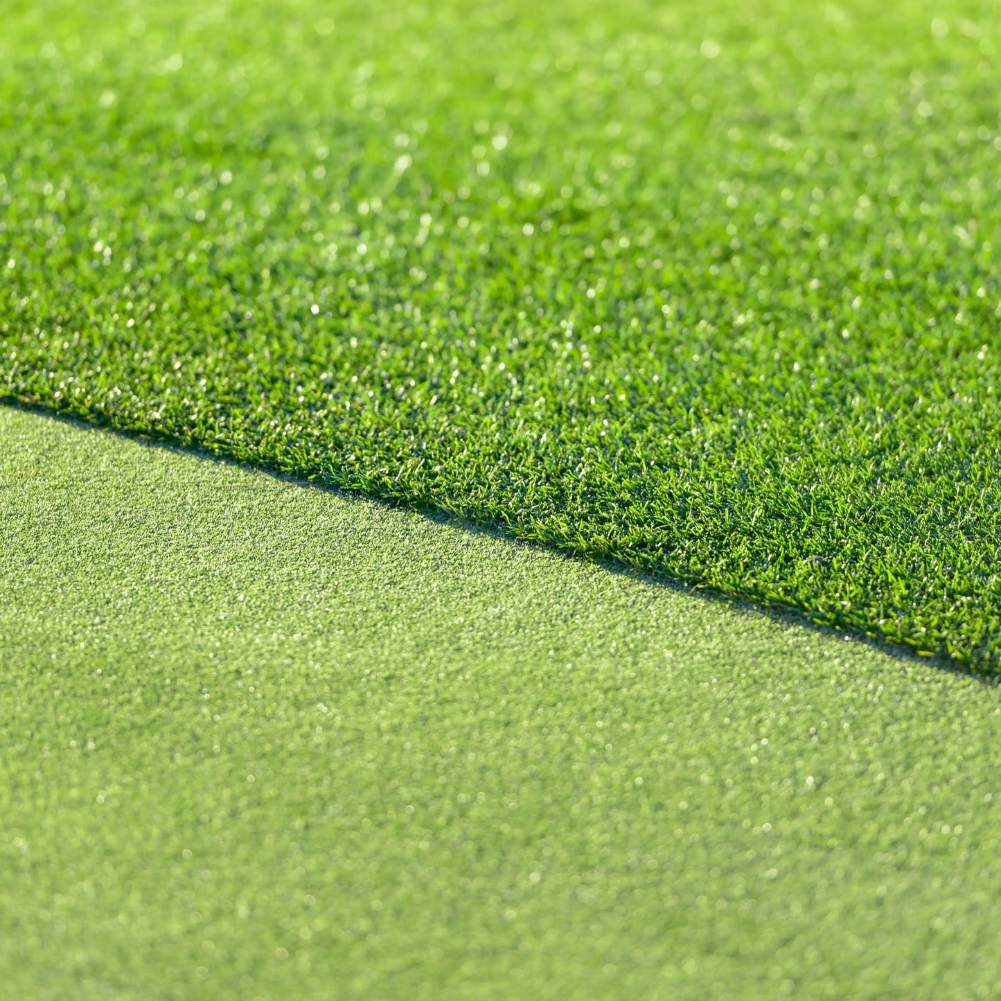 All Seasons Evergreen Grass Seeds