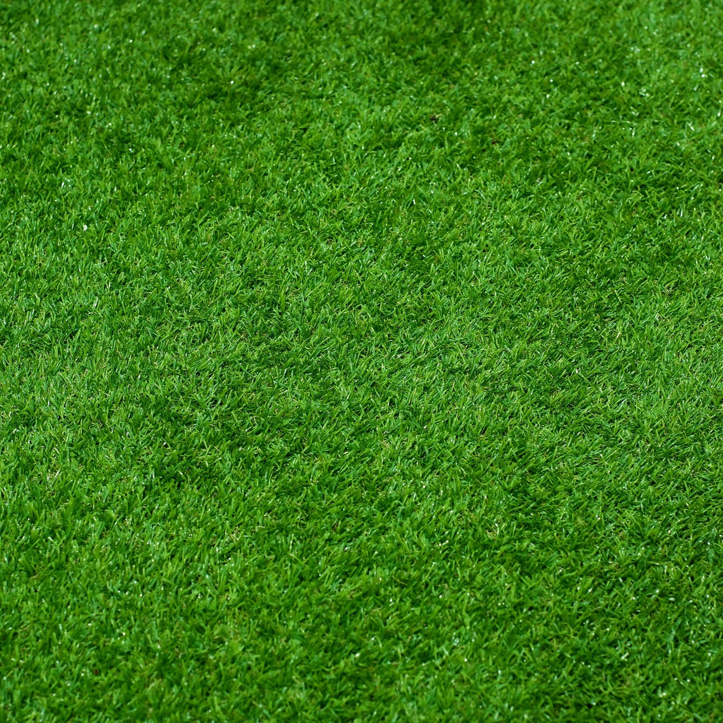 All Seasons Evergreen Grass Seeds