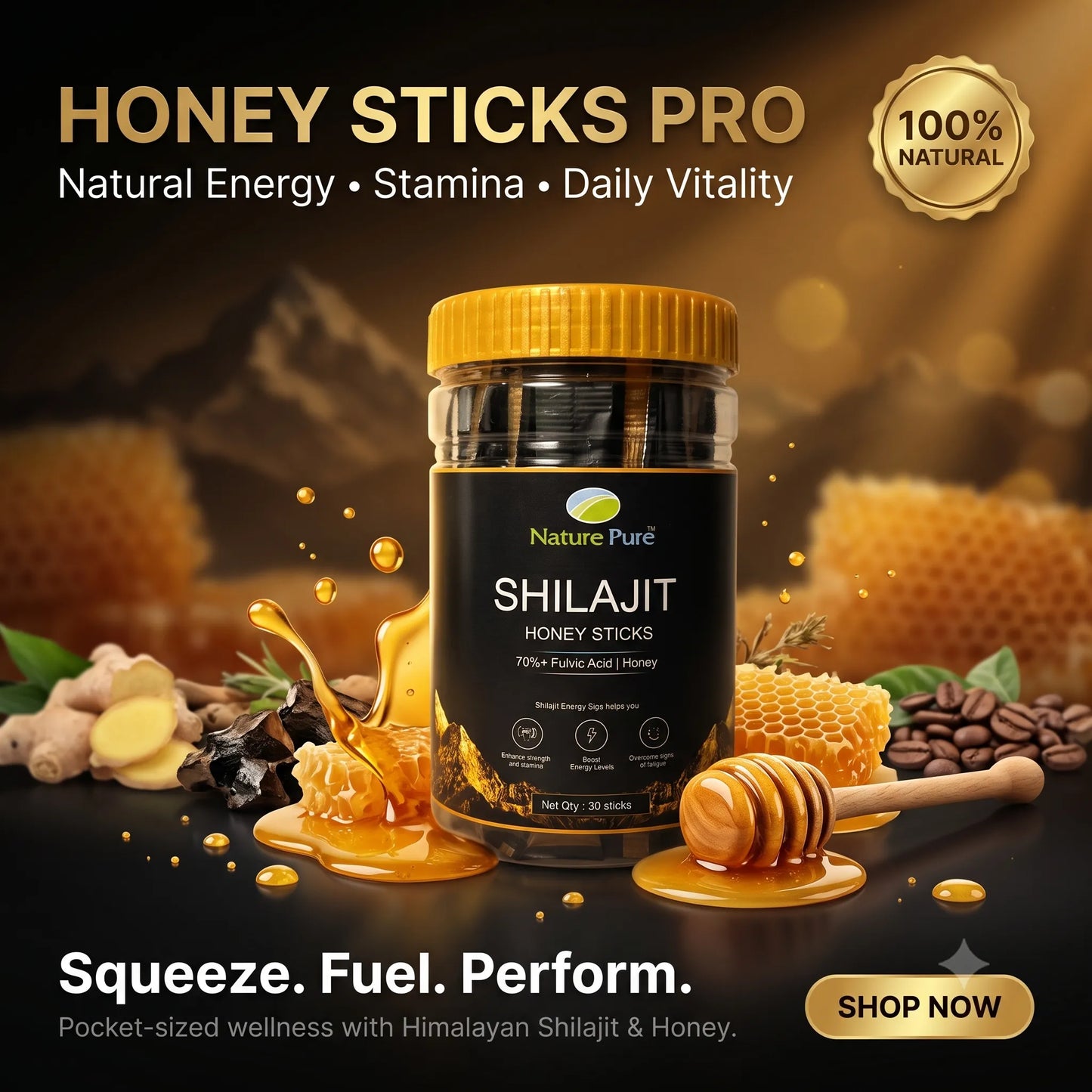 Shilajit Honey Stick