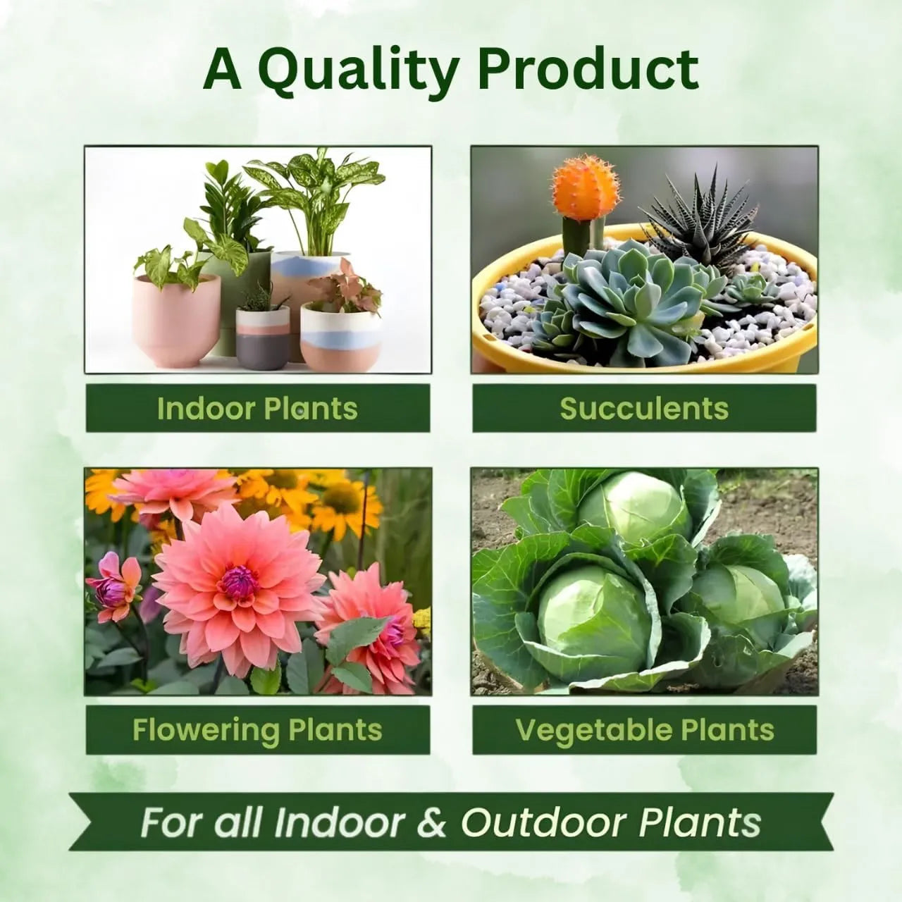 Magic Plant Food Sticks for Indoor & Outdoor Plants