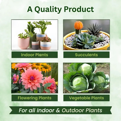 Magic Plant Food Sticks for Indoor & Outdoor Plants
