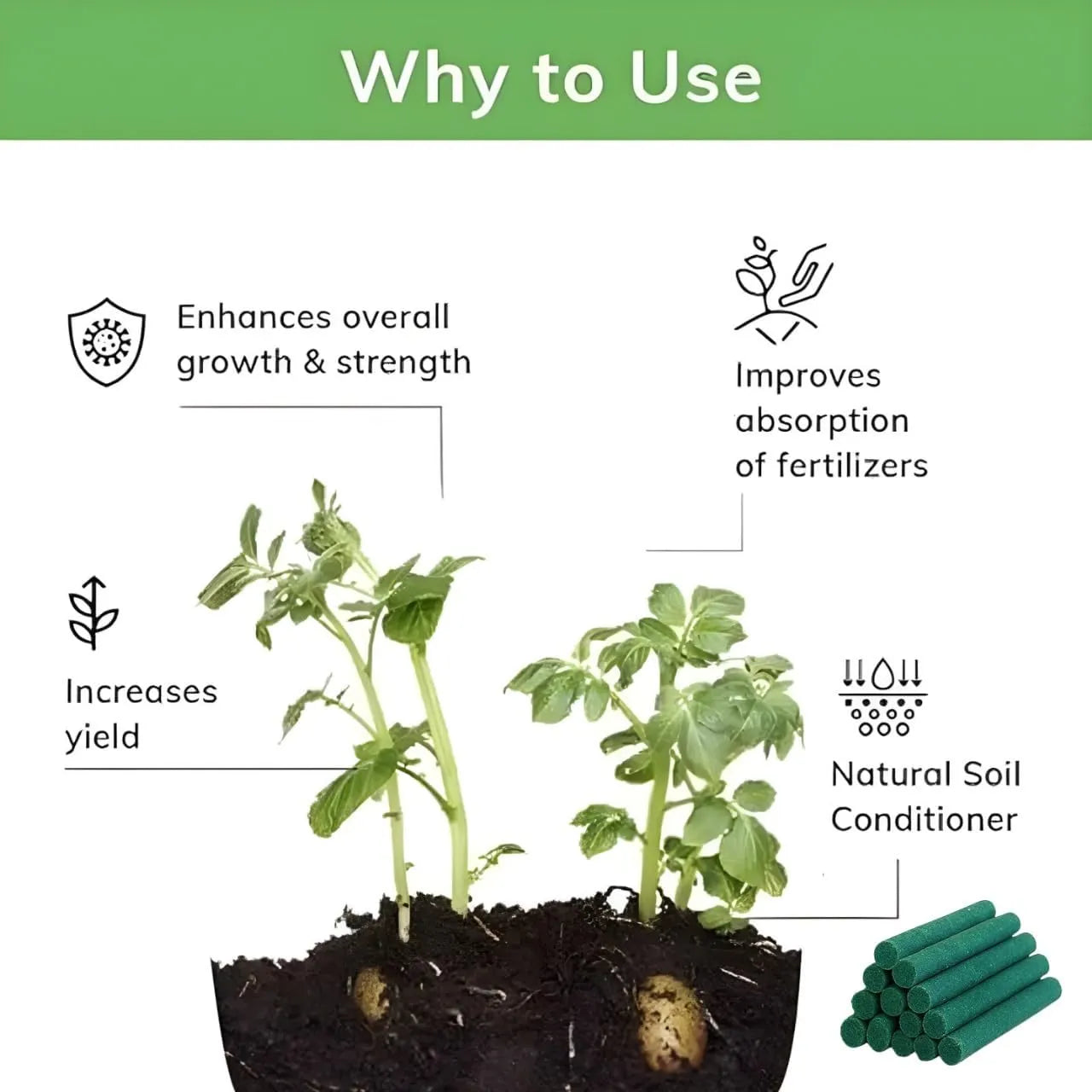 Magic Plant Food Sticks for Indoor & Outdoor Plants