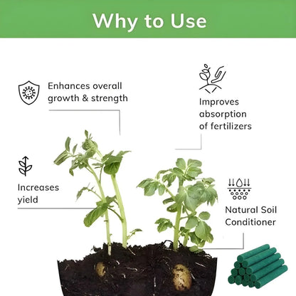 Magic Plant Food Sticks for Indoor & Outdoor Plants