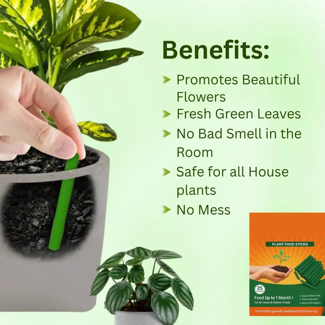 Magic Plant Food Sticks for Indoor & Outdoor Plants