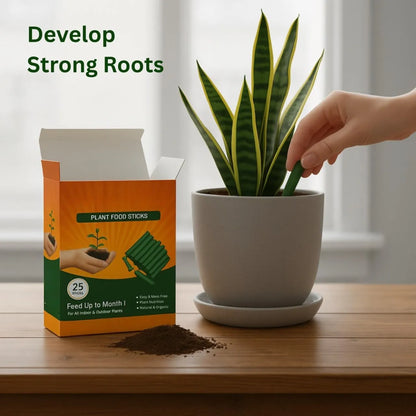 Magic Plant Food Sticks for Indoor & Outdoor Plants