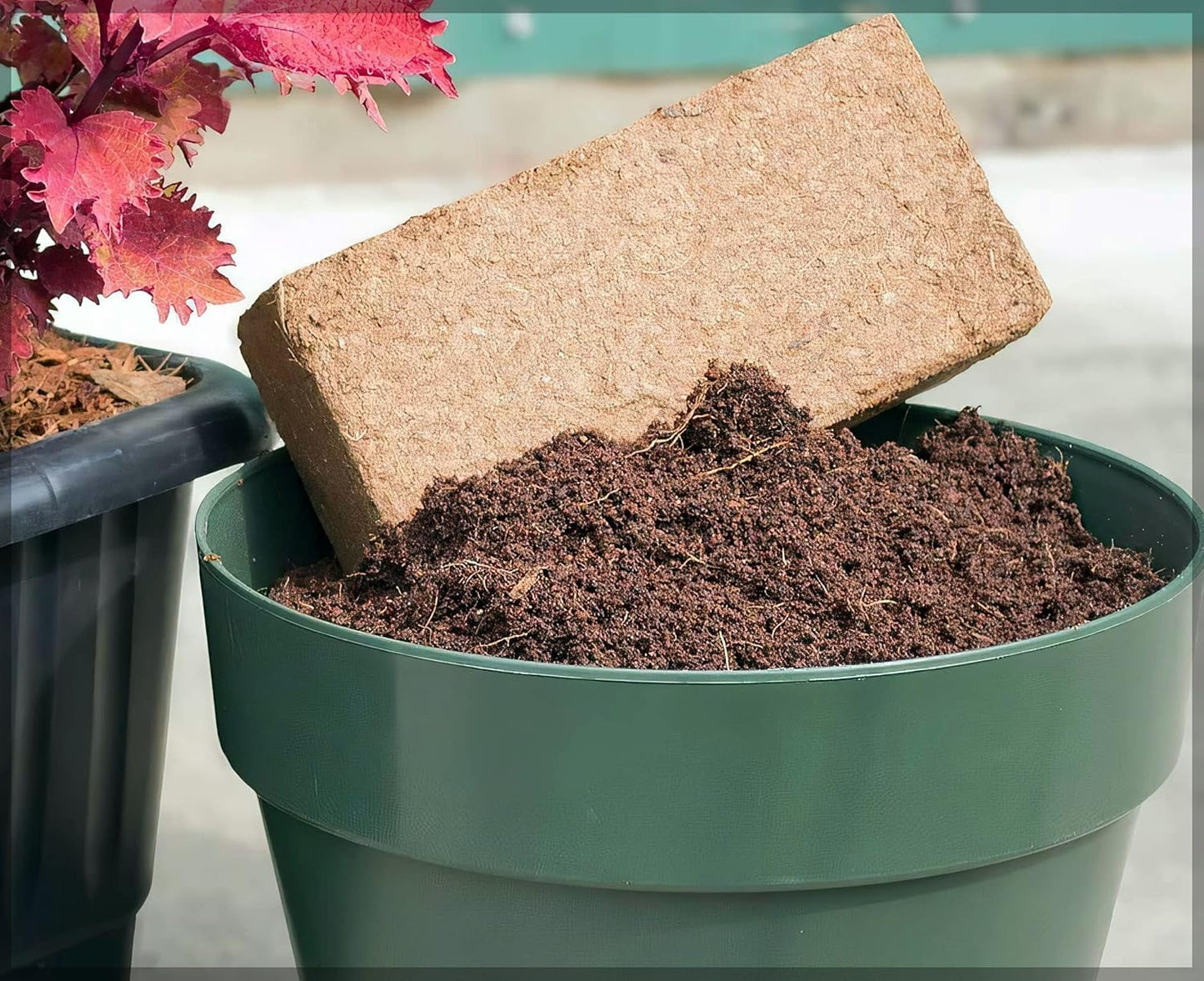 Organic Coconut Coir for Plant Growth