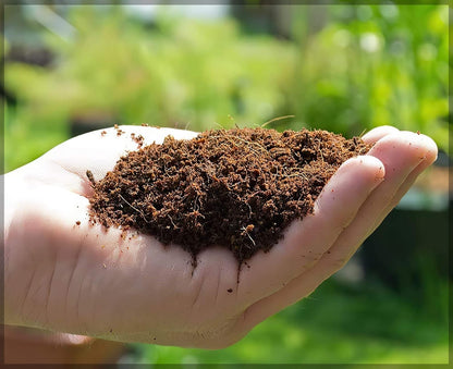 Organic Coconut Coir for Plant Growth