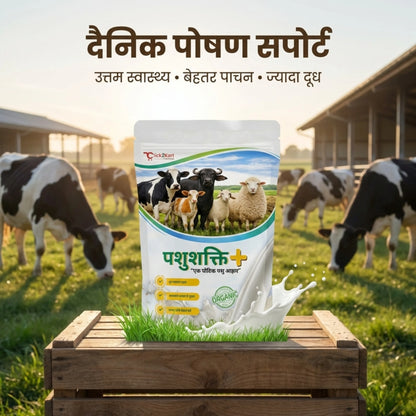 Pashushakti Cattle Pellet Feed
