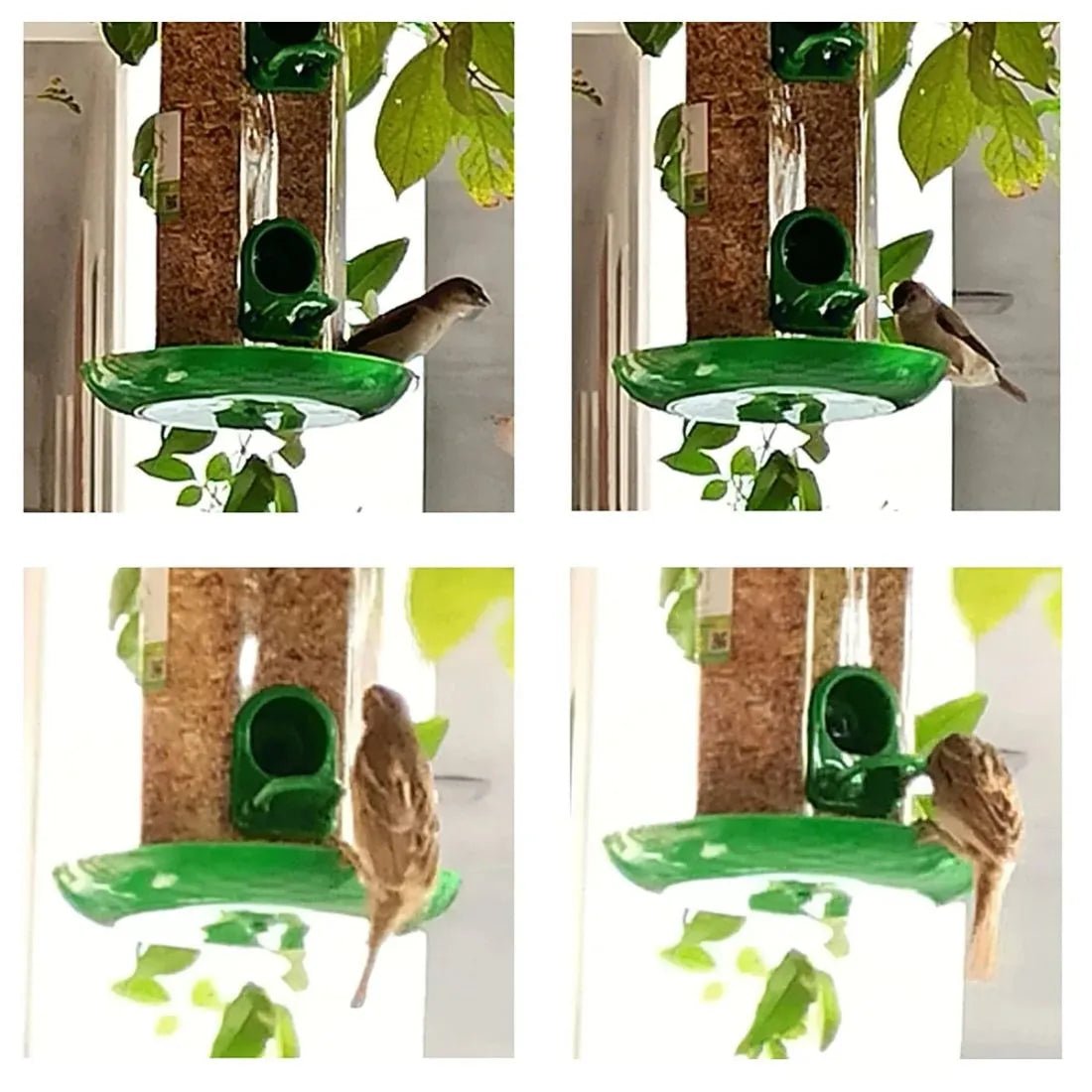 Durable Hanging Bird Feeder for Outdoor Use