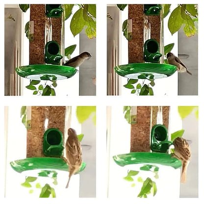 Durable Hanging Bird Feeder for Outdoor Use