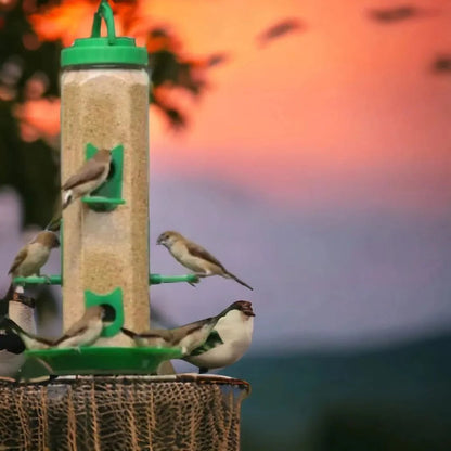 Durable Hanging Bird Feeder for Outdoor Use
