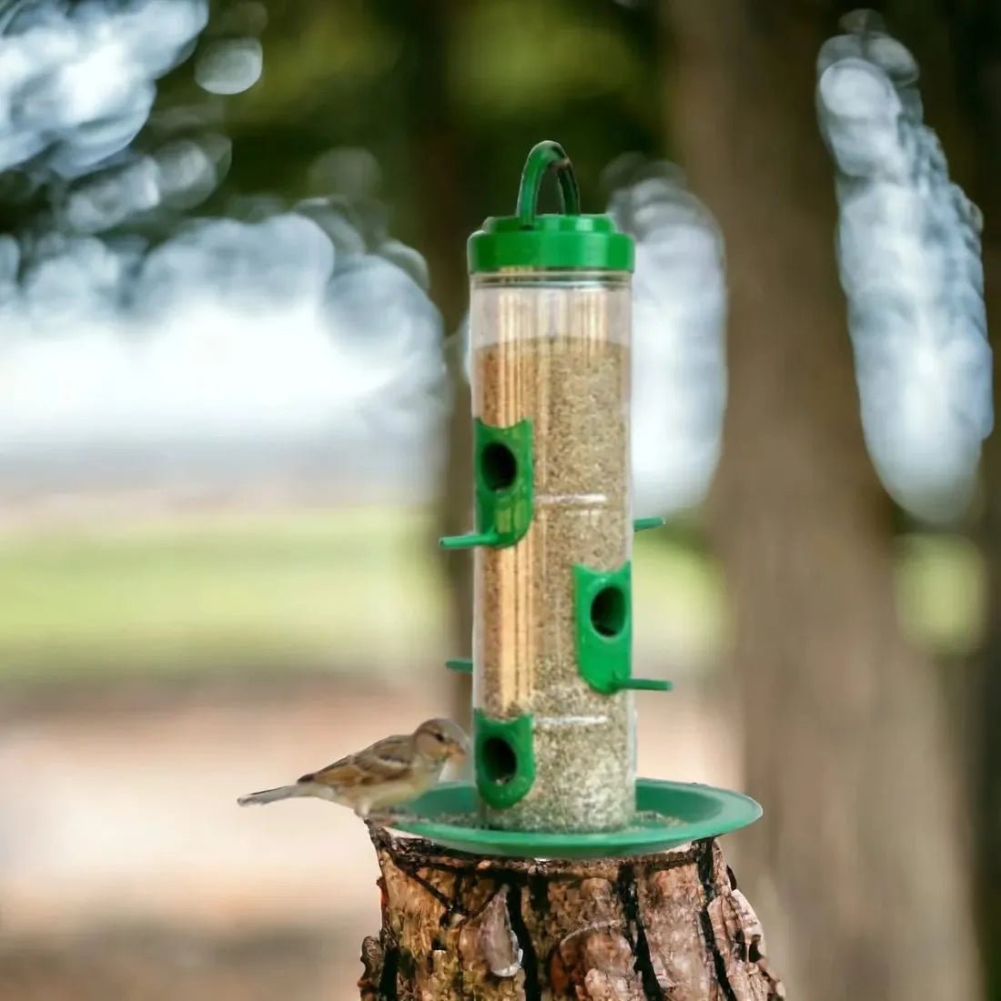 Durable Hanging Bird Feeder for Outdoor Use